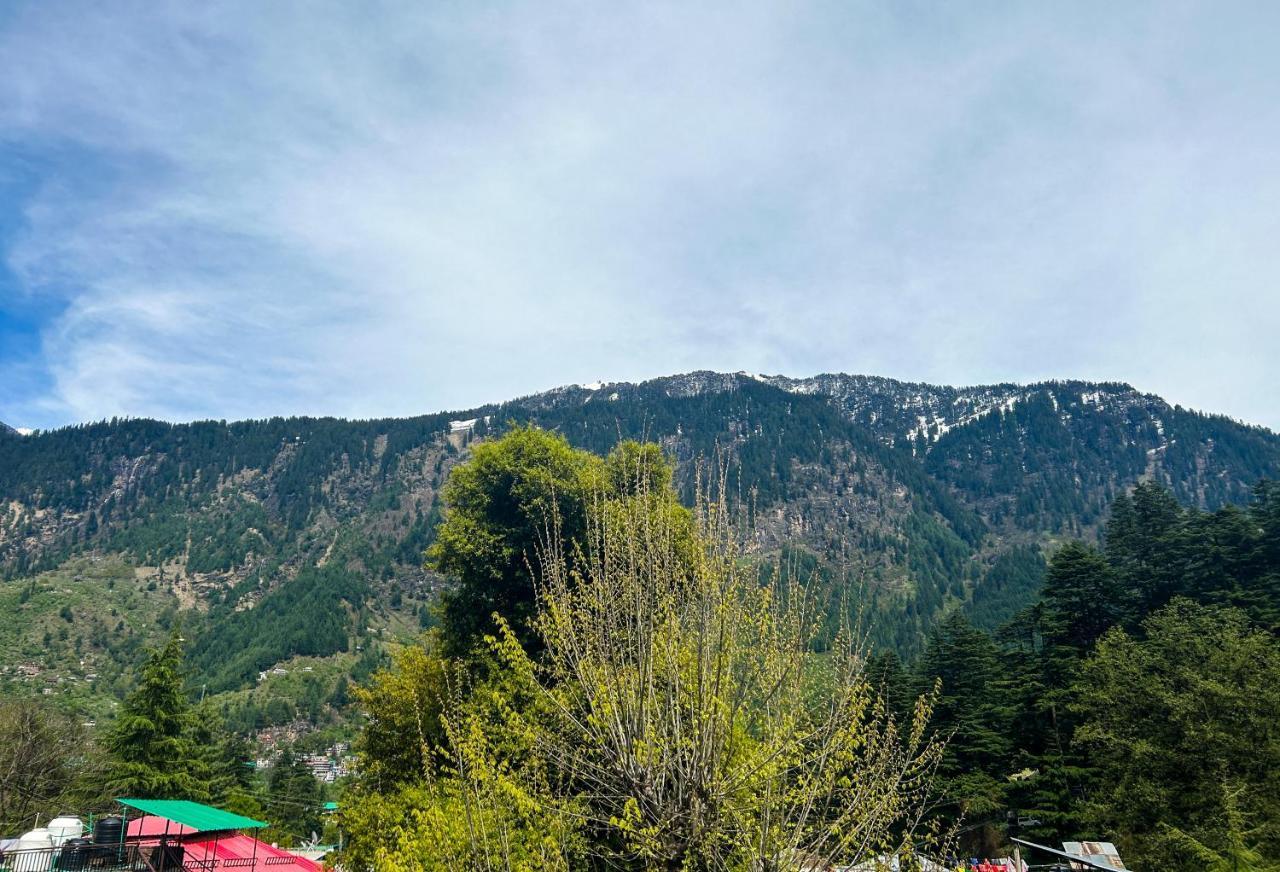 Tandav And Aparthotel Manali (Himachal Pradesh)